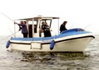 Angeln im Seenplatte Urlaub