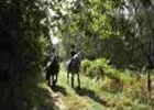 Reiten auf dem Reiterhof